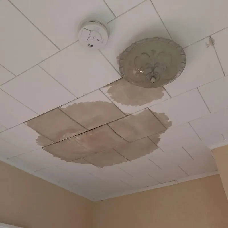 Ceiling Water Damage Repair in Idalou, TX