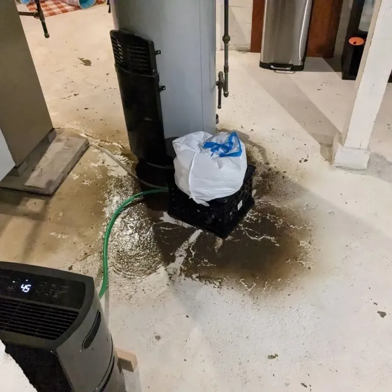 Sewage Backup Cleanup Service in Idalou, TX